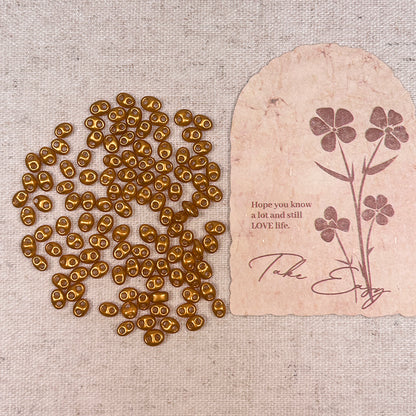 🐽New!🆕[S246] Pig Nose Seed Beads