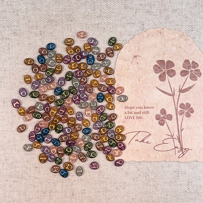 🐽New!🆕[S246] Pig Nose Seed Beads