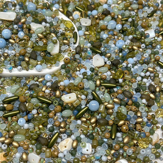 New!🆕[S248] Swamp Secrets