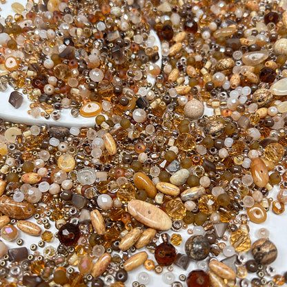 New!🆕[S273] Cozy Coco