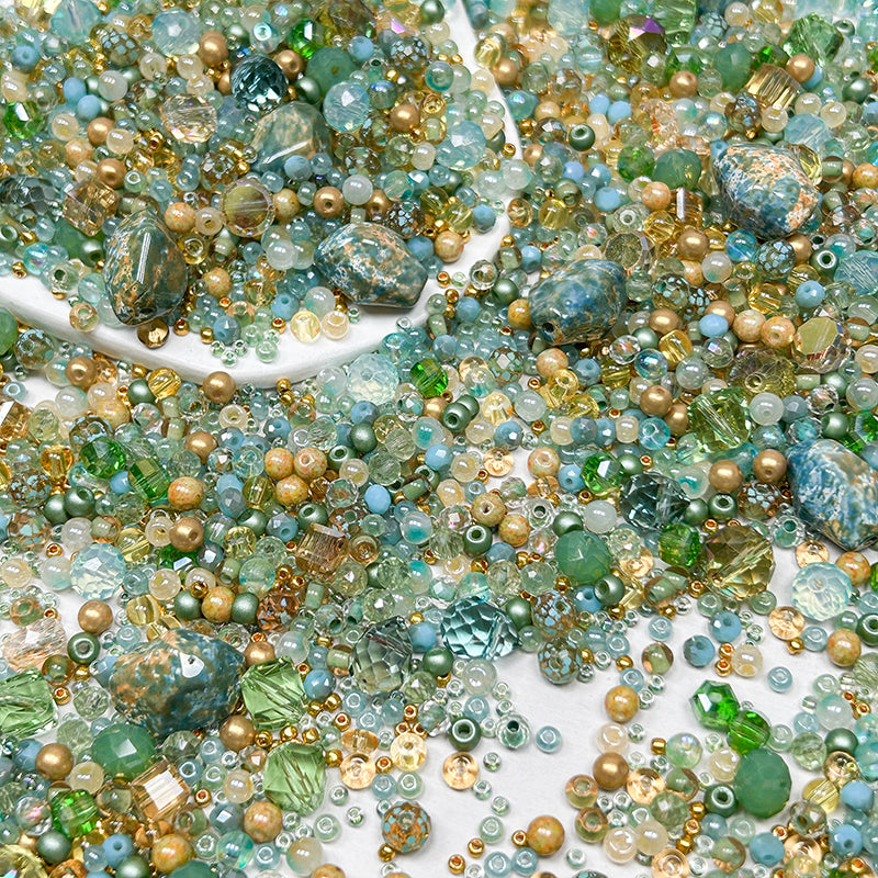 [S341] In Clear Shallow Waters