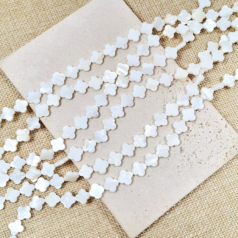 🐚[N138] Natural Shell Beads