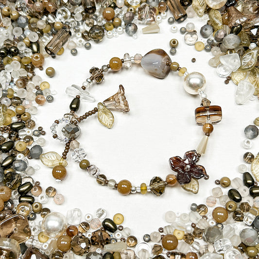 New!🆕[S683] Cabinet of Curiosities