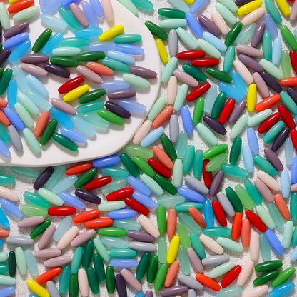 New!🆕[S117] Rainbow Rice